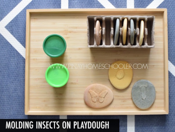 Insect Themed Learning Trays for Toddlers preschool