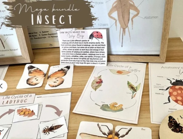 insect unit